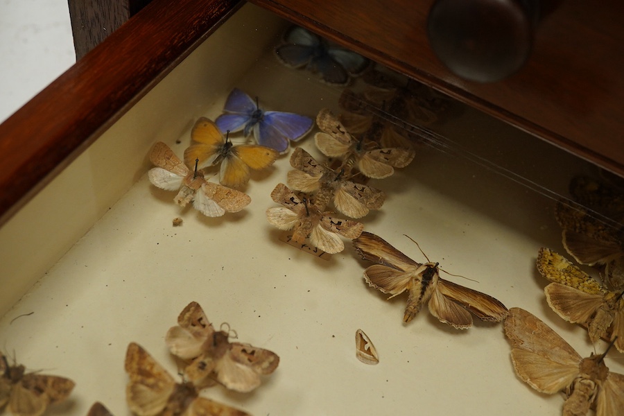 A Victorian mahogany 10-drawer collector’s cabinet with arched glazed door, height 68cm, width 54cm, depth 53cm, containing prepared and pinned moth and butterfly specimens, together with seven 1940s volumes of the Proce